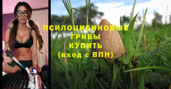 синтетический гашиш Алексин